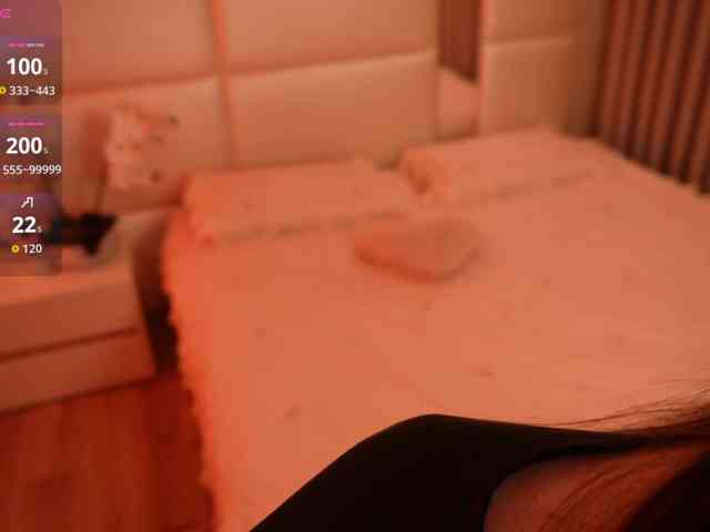 Rerince webcam