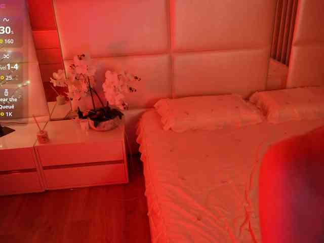 Rerince webcam