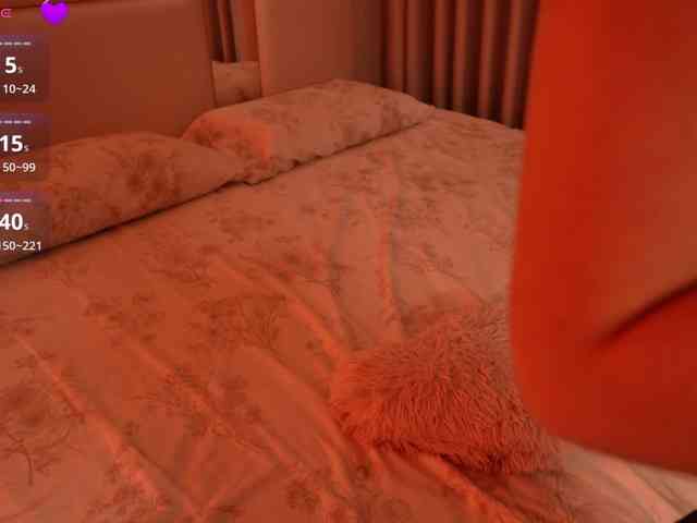 Rerince webcam