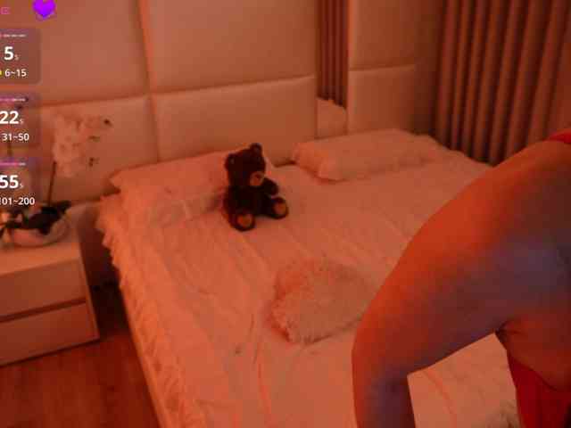 Rerince webcam
