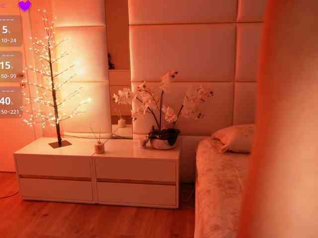 Rerince webcam