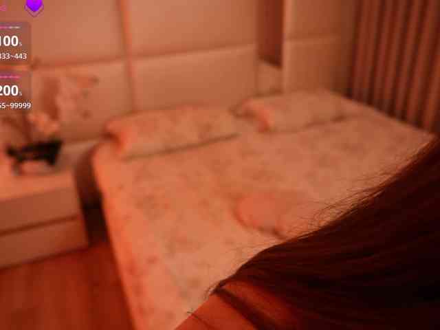 Rerince webcam