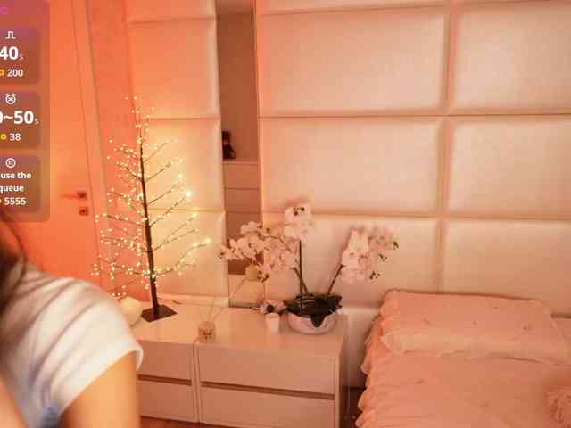 Rerince webcam