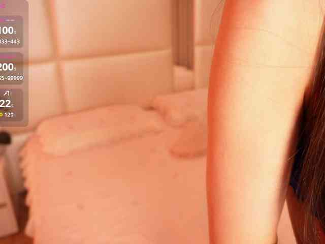 Rerince webcam