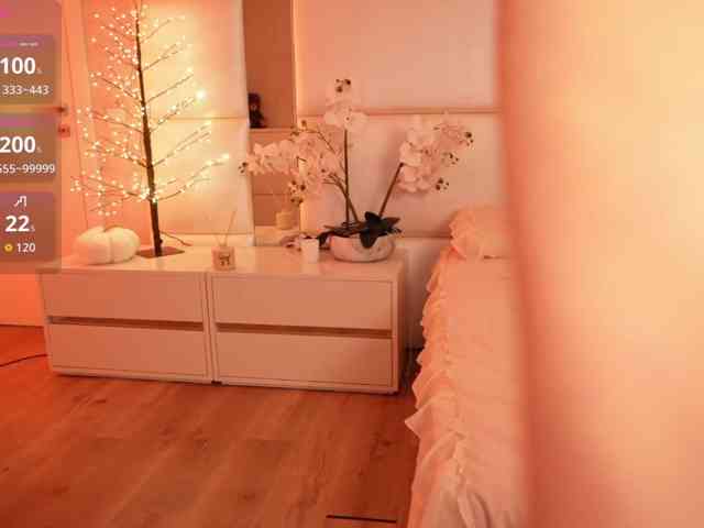 Rerince webcam