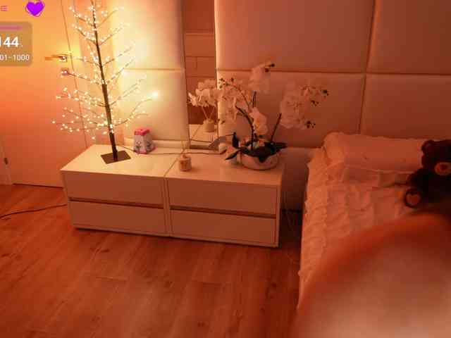 Rerince webcam