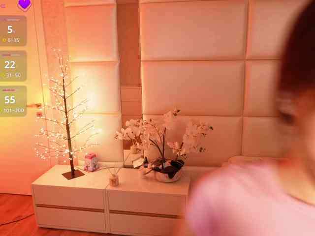 Rerince webcam