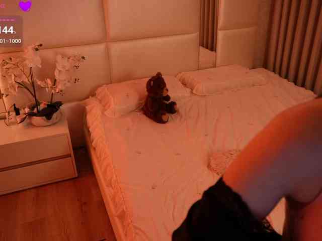 Rerince webcam