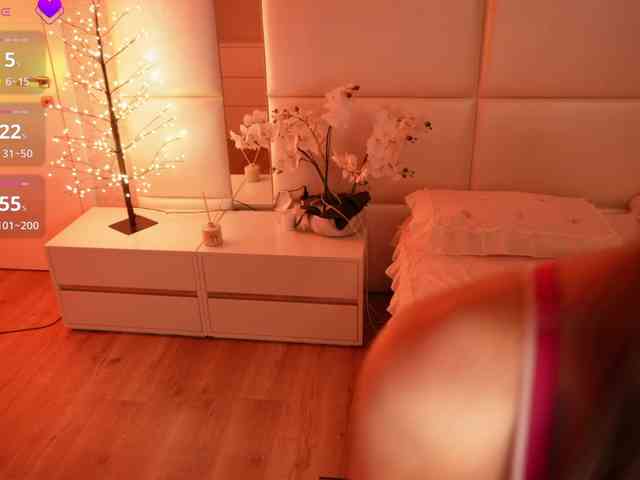 Rerince webcam