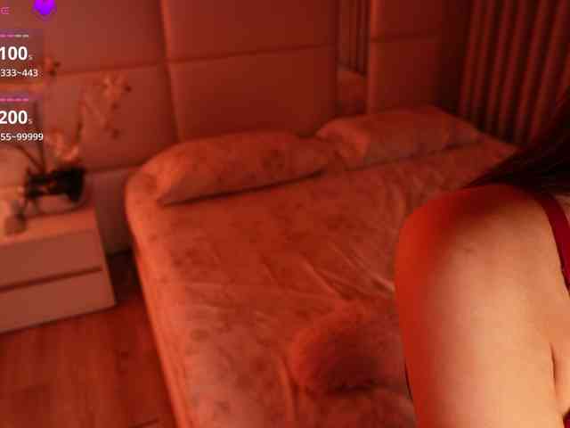 Rerince webcam