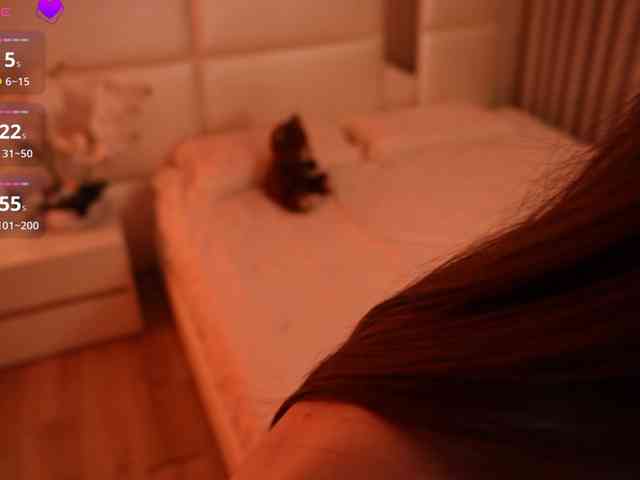 Rerince webcam