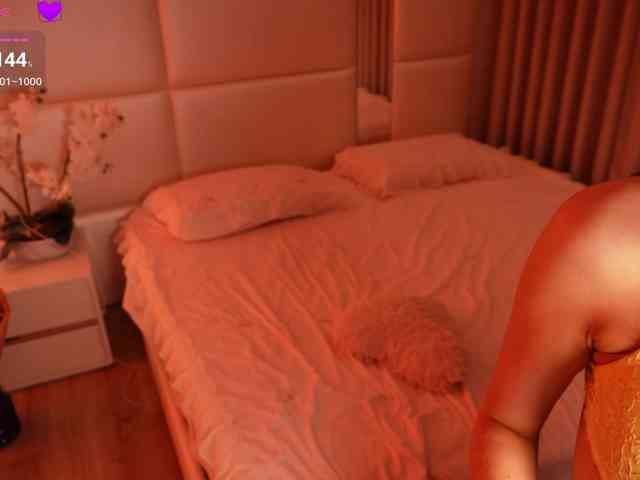 Rerince webcam