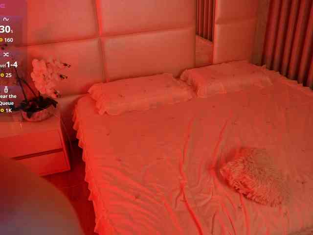 Rerince webcam