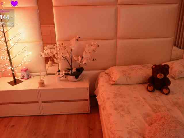 Rerince webcam