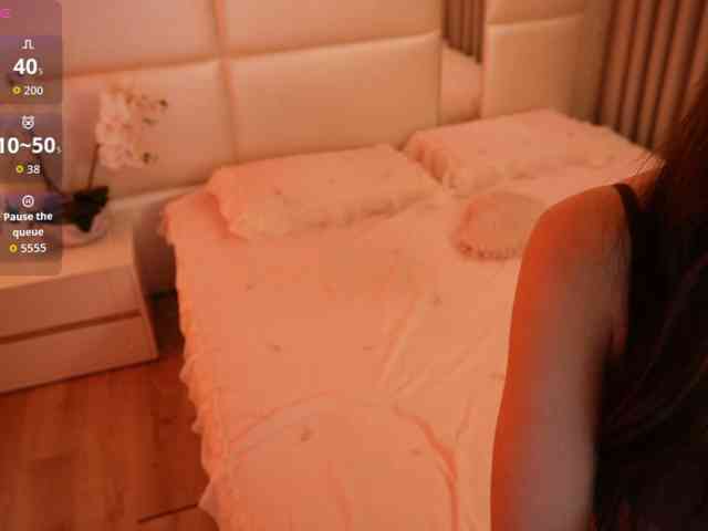 Rerince webcam