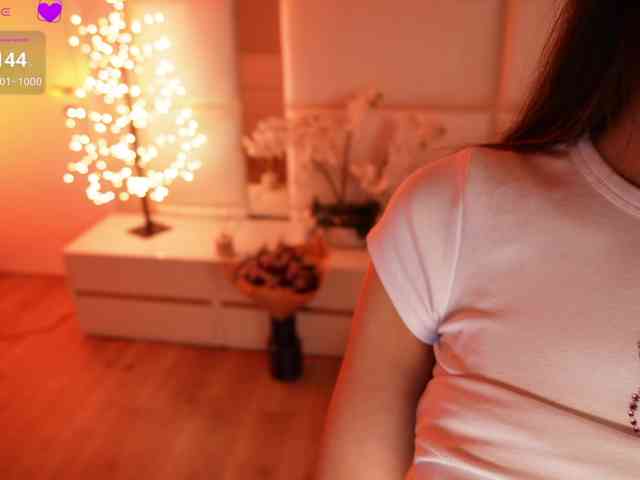 Rerince webcam