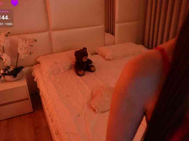 Rerince webcam