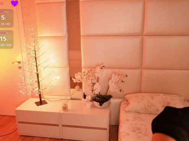 Rerince webcam