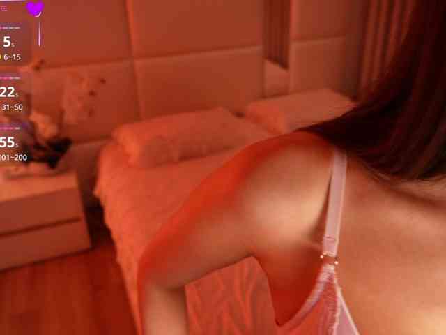 Rerince webcam