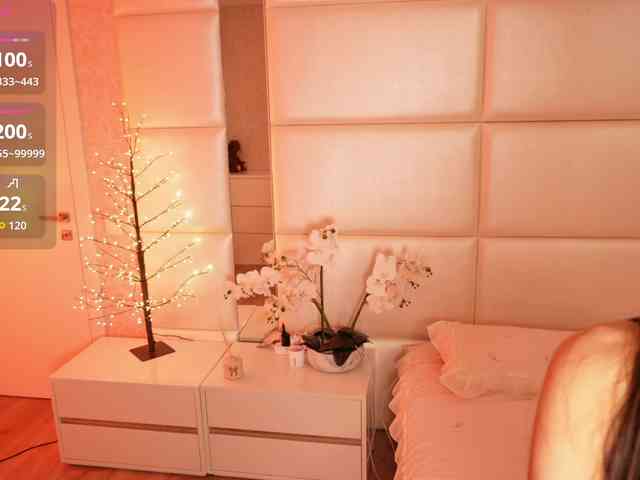 Rerince webcam