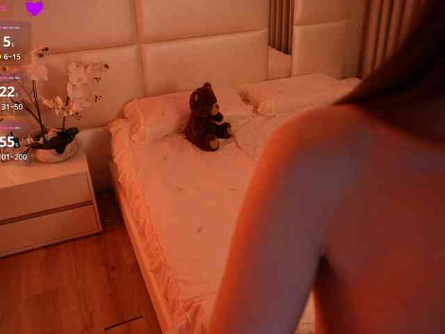 Rerince webcam