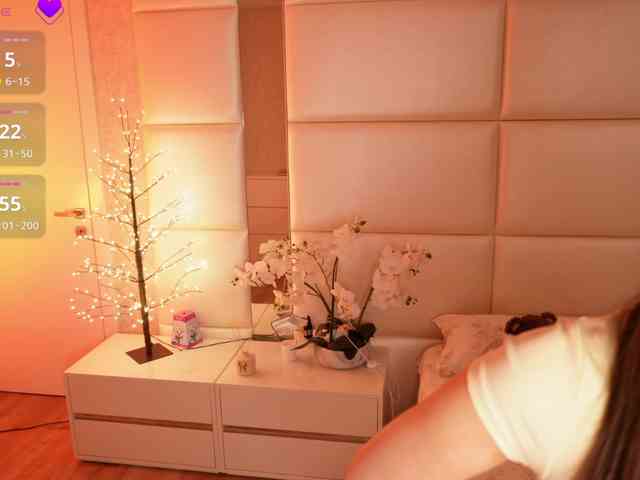 Rerince webcam