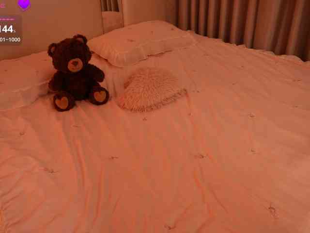 Rerince webcam