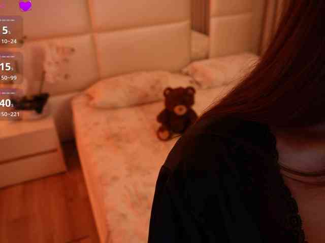 Rerince webcam