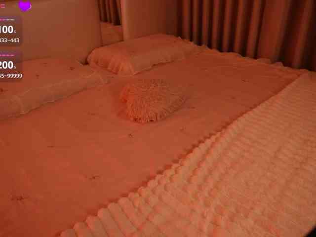 Rerince webcam