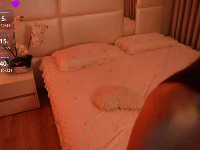 Rerince webcam
