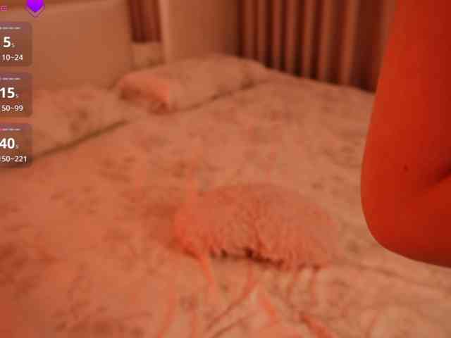 Rerince webcam