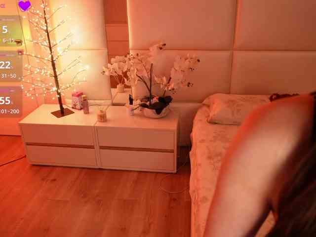 Rerince webcam