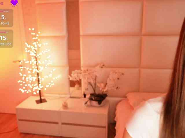 Rerince webcam