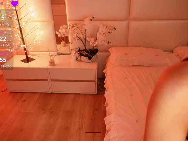Rerince webcam