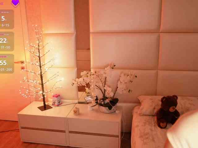 Rerince webcam