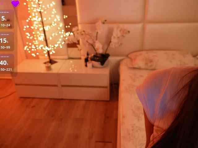 Rerince webcam