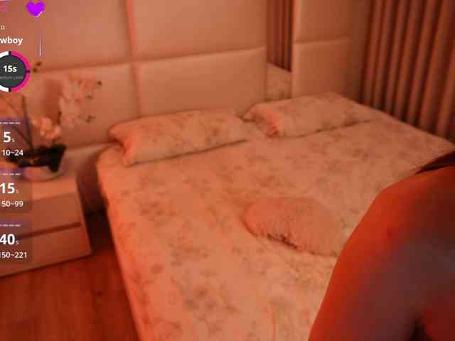 Rerince webcam