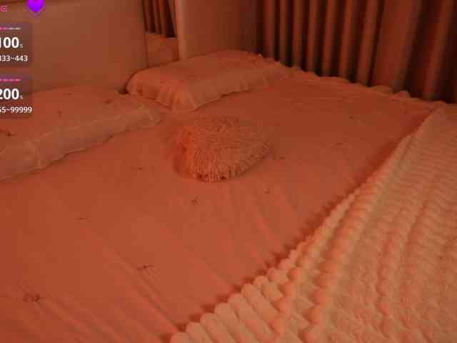 Rerince webcam