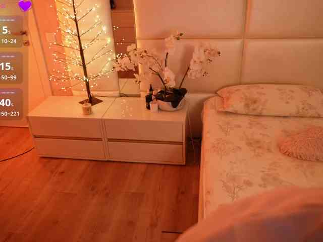 Rerince webcam