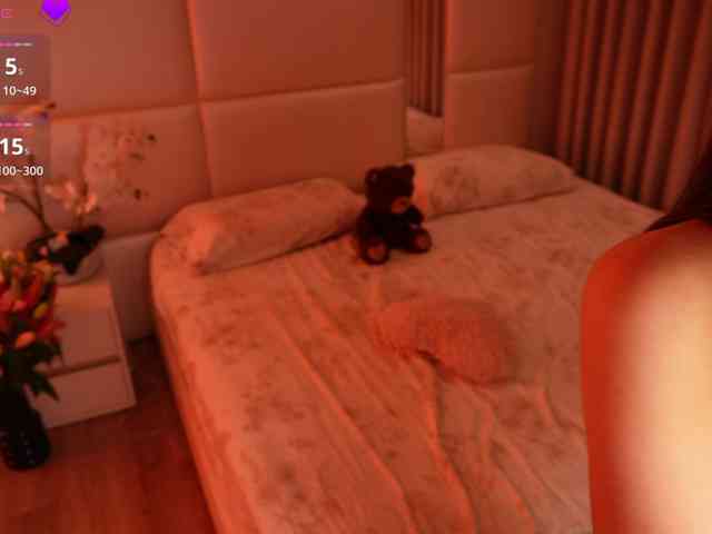 Rerince webcam
