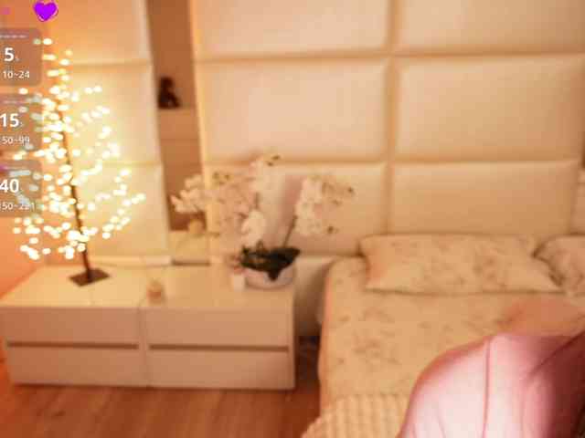 Rerince webcam