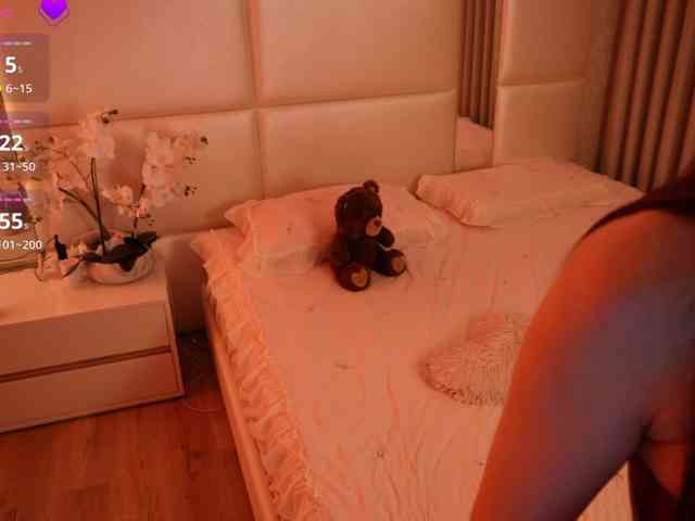 Rerince webcam