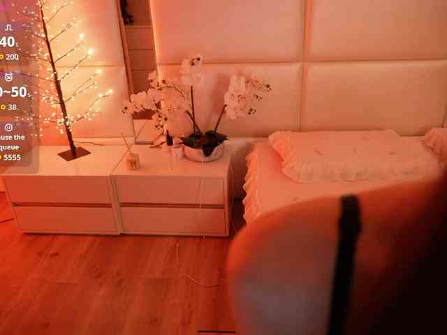 Rerince webcam