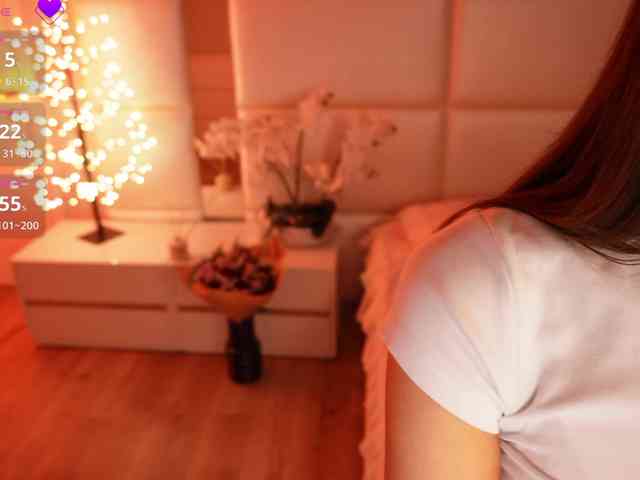 Rerince webcam