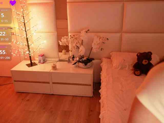 Rerince webcam