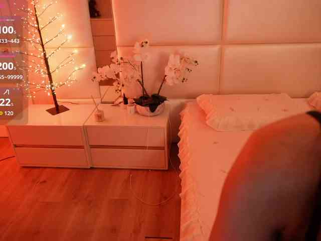 Rerince webcam