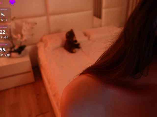 Rerince webcam