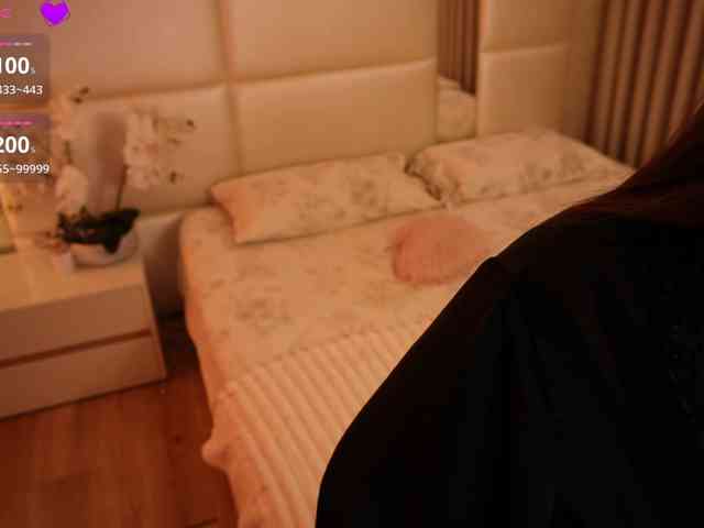 Rerince webcam