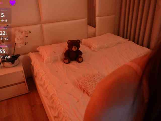 Rerince webcam