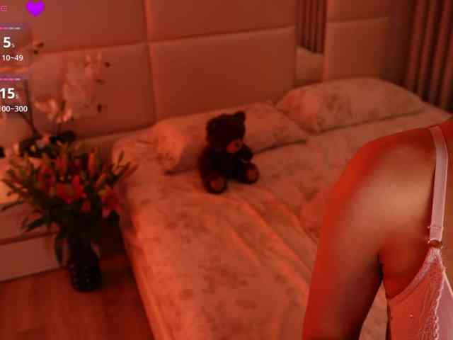 Rerince webcam